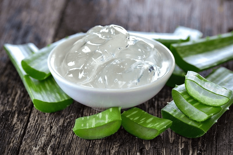 Cách làm gel nha đam dưỡng da tại nhà đơn giản và cách bảo quản