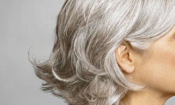 TÓC BẠC: PHÂN TÍCH CƠ CHẾ SINH HỌC VÀ CHĂM SÓC