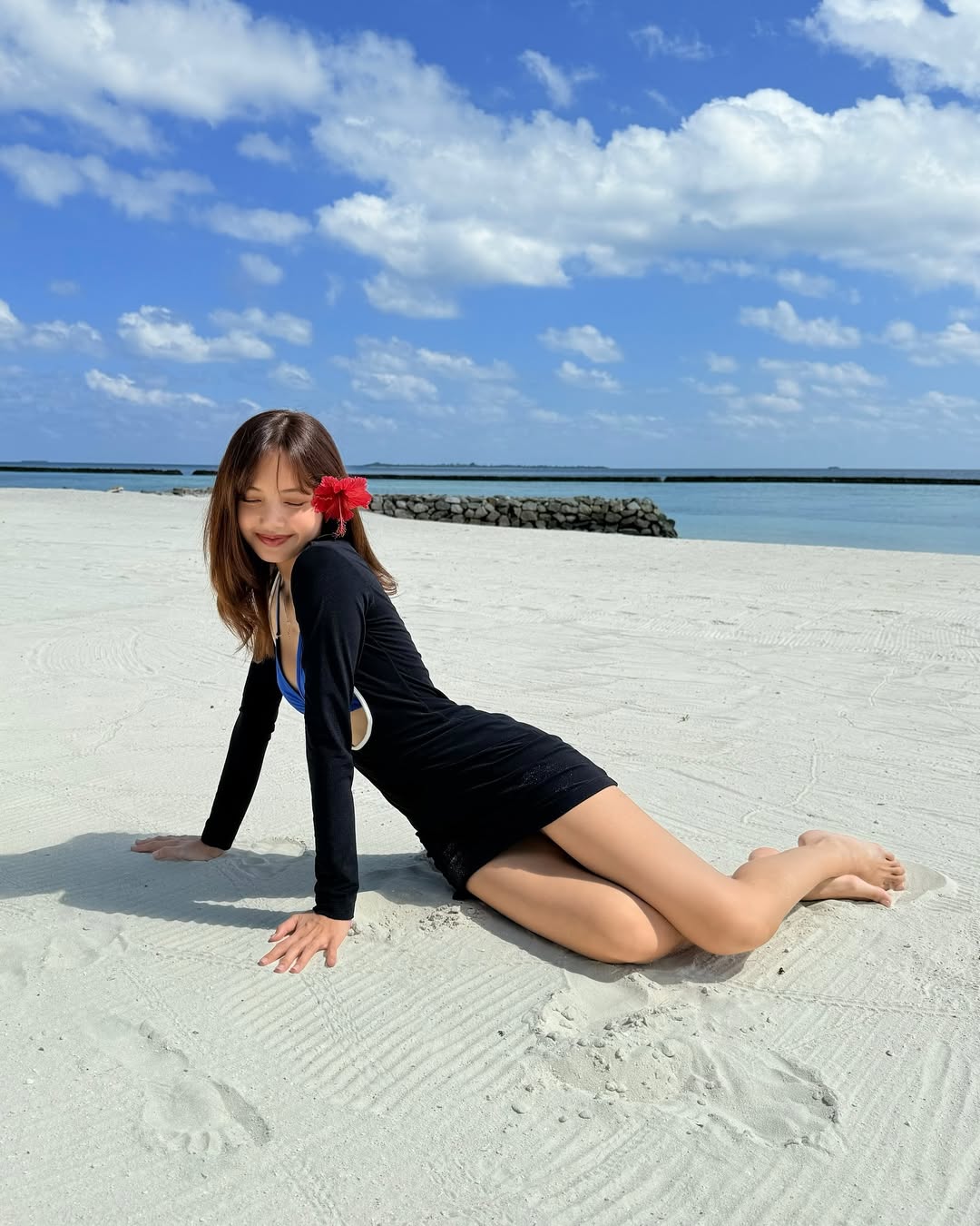Đồ bơi lisa